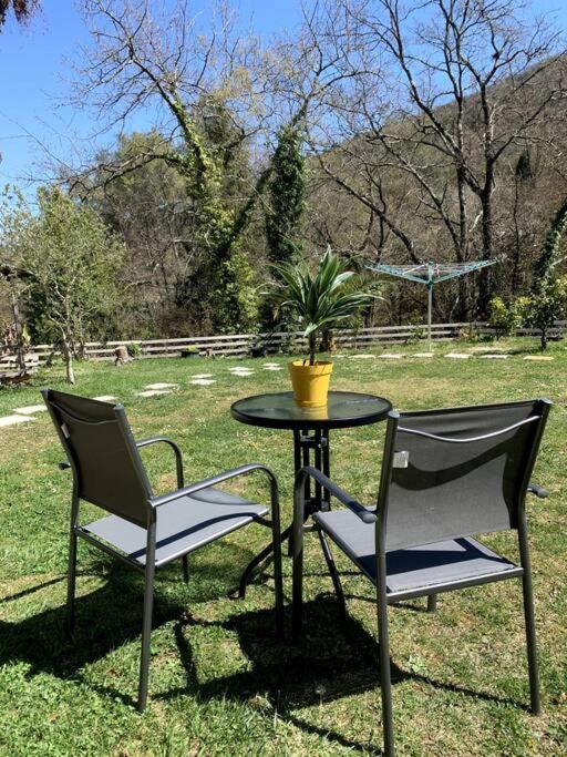 Studio Calme Et Agreable Avec Acces Jardin Partage Le Bar-sur-Loup Exteriör bild